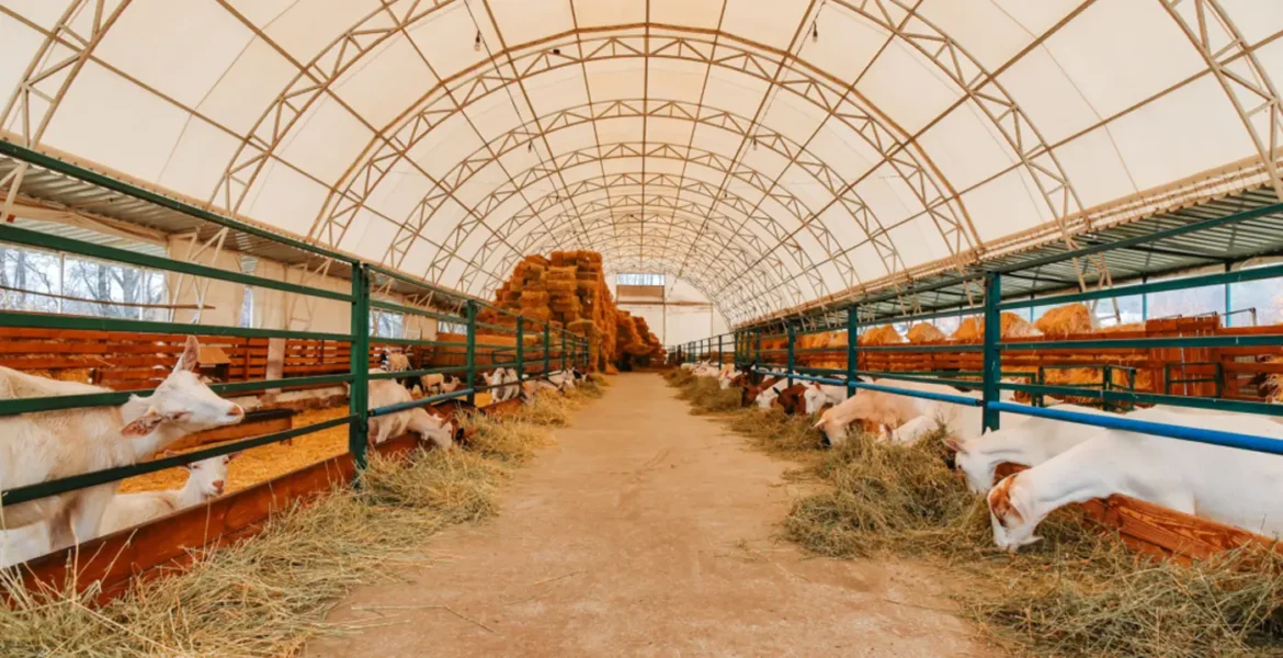 Commercial Agriculture Fabric Building