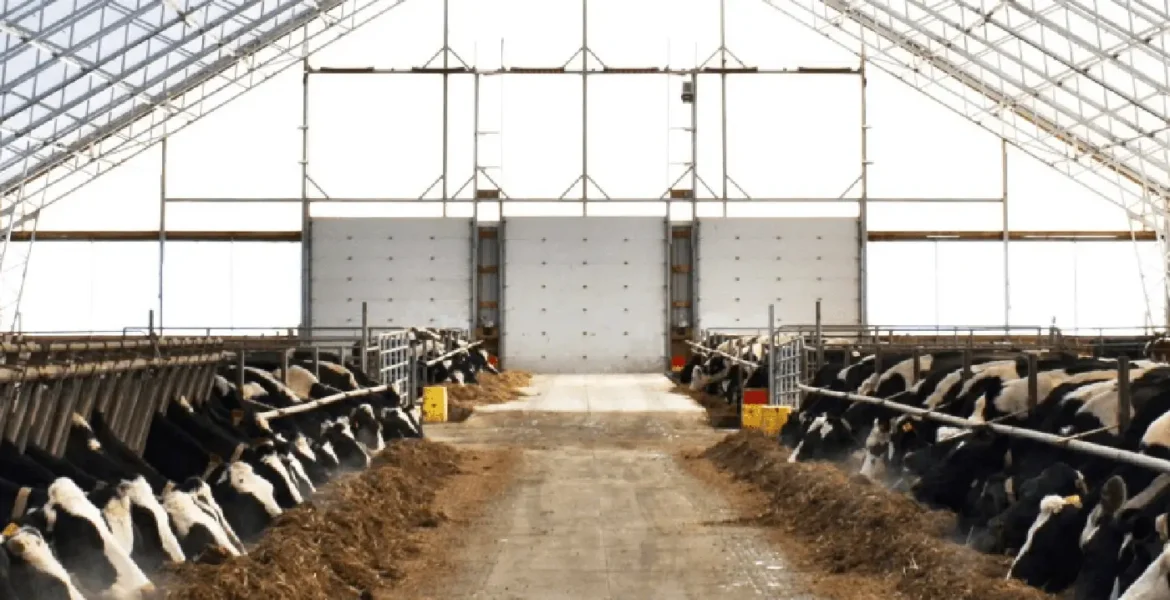 Why Choose Fabric Farm Buildings for Livestock Img